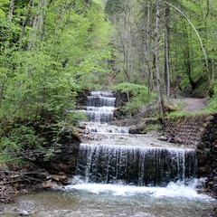 Im Mai im Allgäu (4)